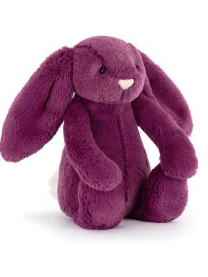 Bashful Allium Bunny