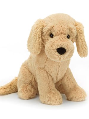 Tilly Golden Retriever